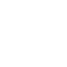 white phone icon